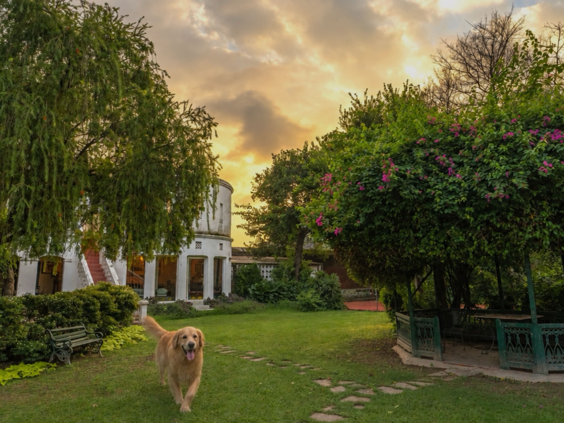 A pet-friendly resort near Delhi — Fort Unchagaon